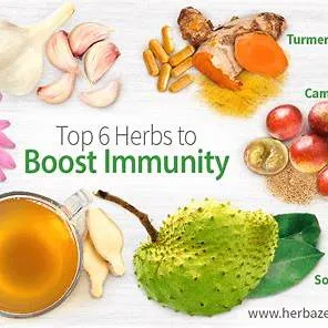 감기 예방&amp;#44; 면역력 높이는 생활 습관