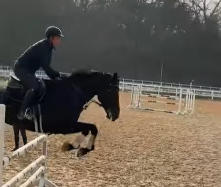 서울 근교 가을 데이트 코스