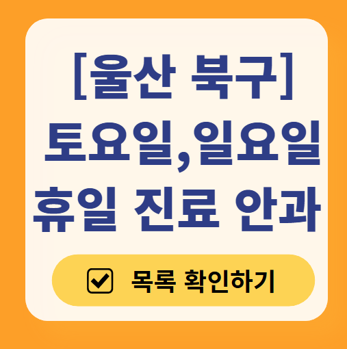 울산 북구 일요일 주말 문 여는 안과 리스트 ❘ 휴일, 토요일 진료 영업 병원 목록