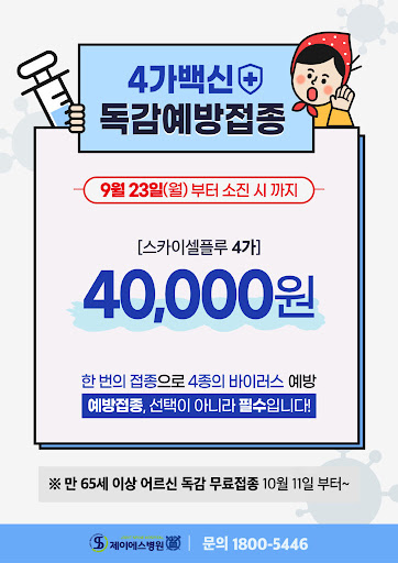 독감 백신 3가 4가 차이 자세히 알아보기