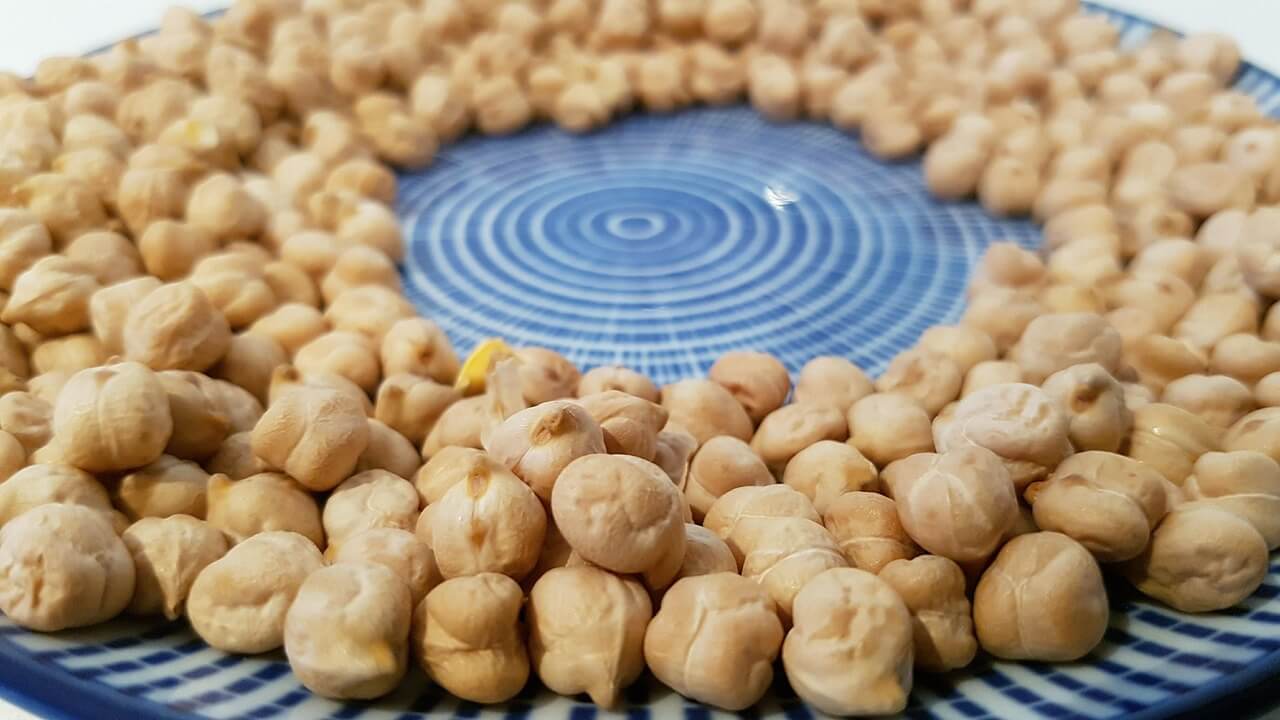 병아리콩 요리법