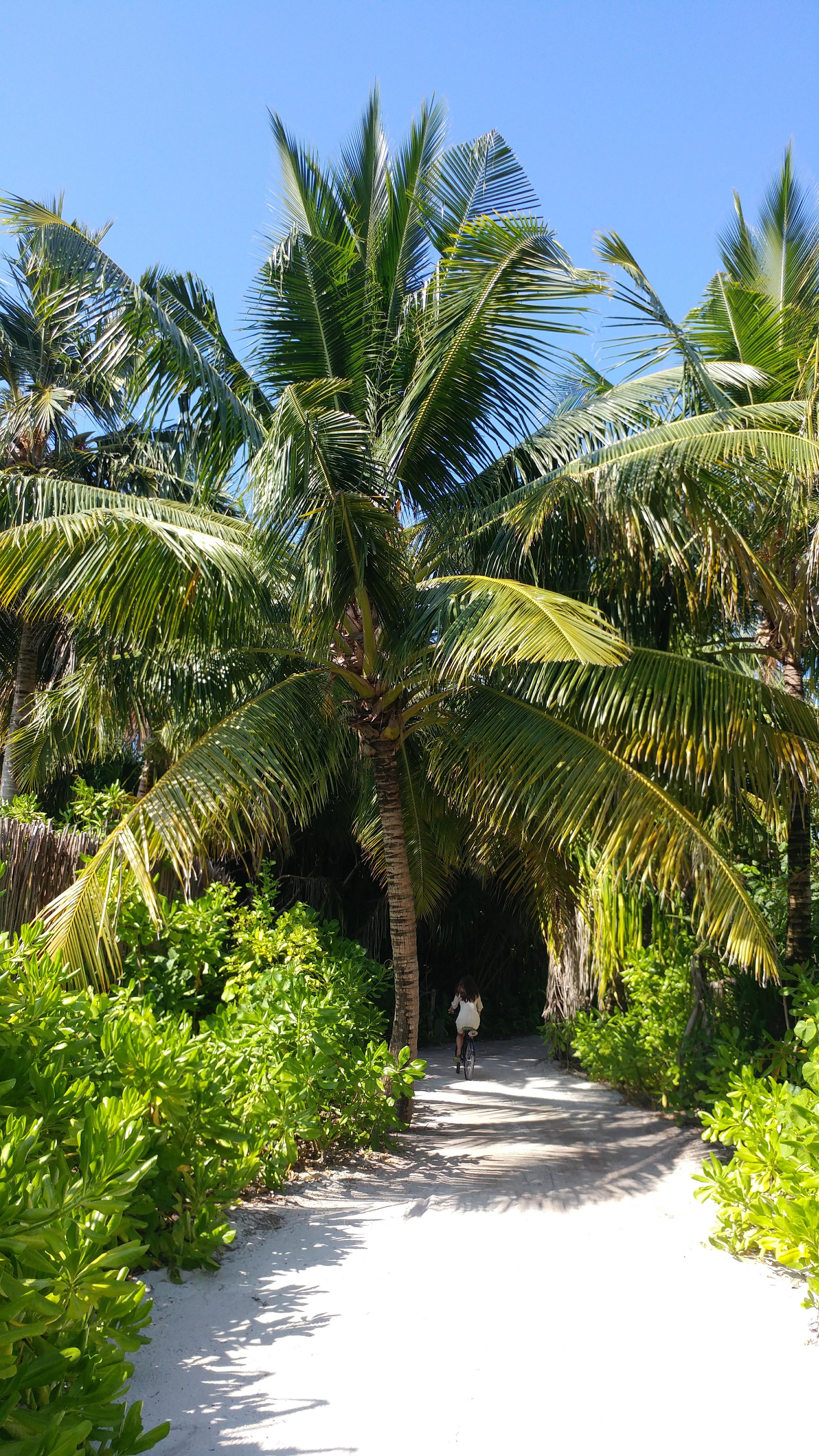 몰디브 식스센스 라무 리조트