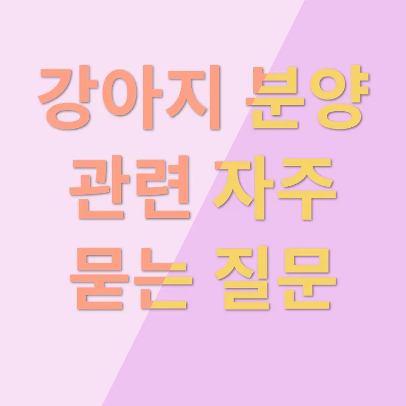 파주 강아지 분양_4