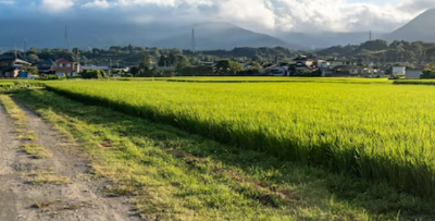농어촌 기본소득 신청