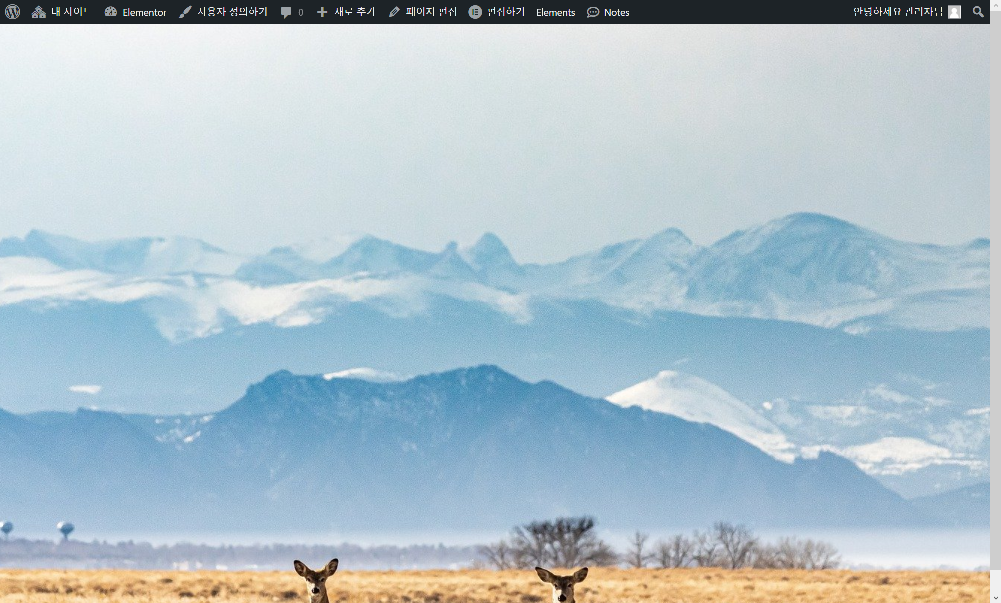 엘리멘터: 페이지 전체 화면을 배경 이미지로 채우는 방법