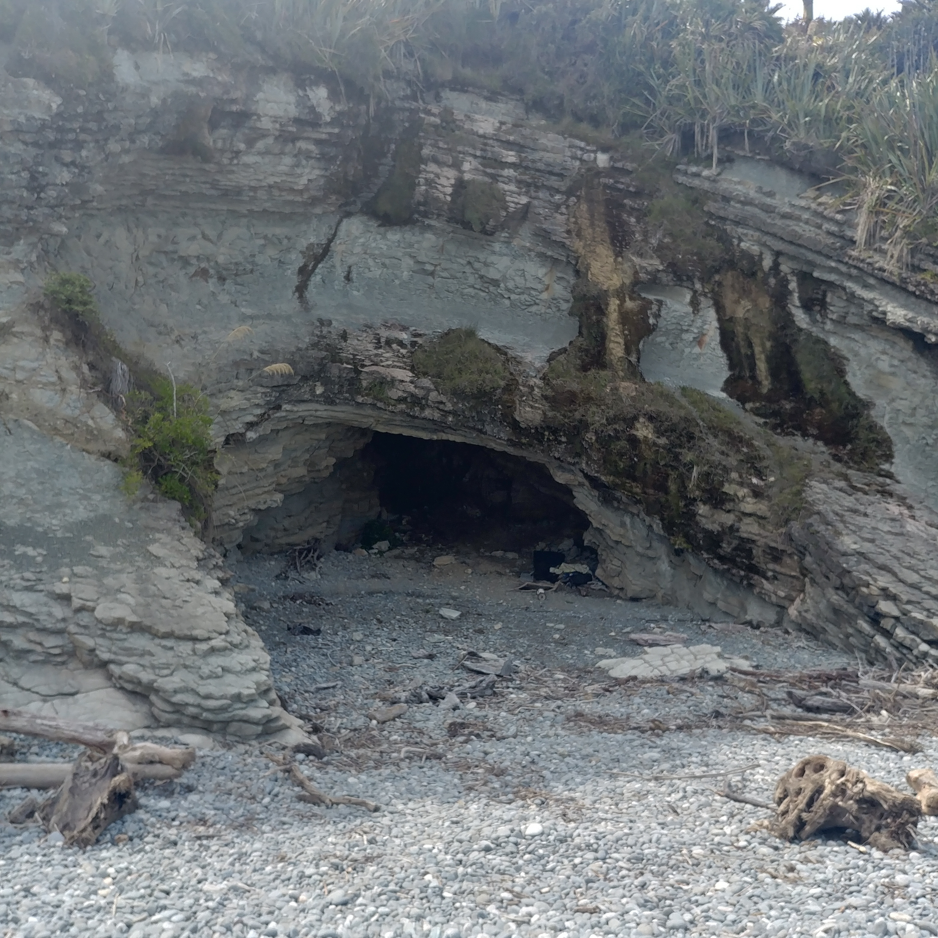 뉴질랜드 해안 산책로 Point Elizabeth Walkway