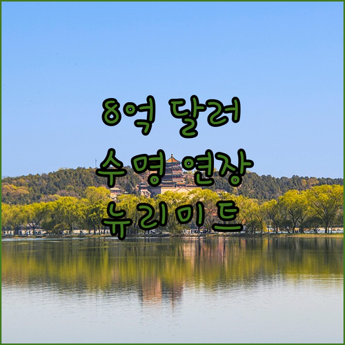 8억 달러 투자 유치! 뉴리미트, 수
