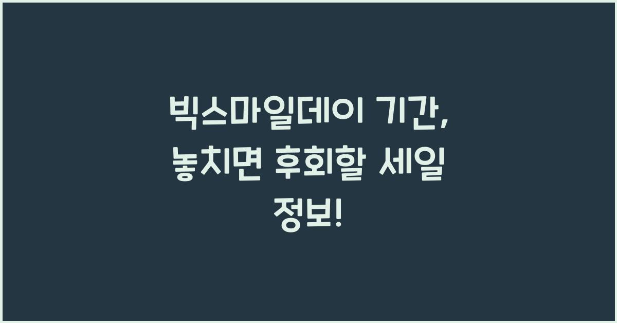 빅스마일데이 기간