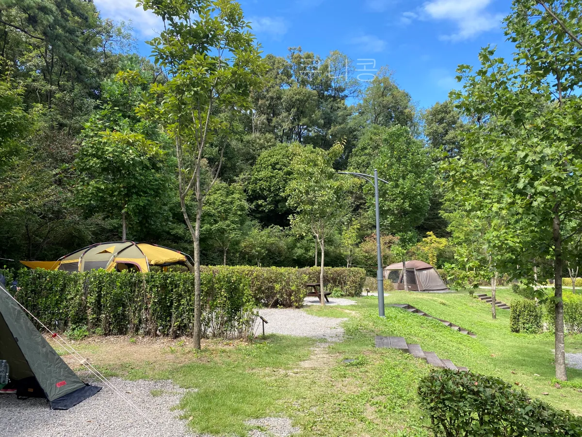 서울근교-당일캠핑-피크닉-가능한-초안산캠핑장-사이트-총정리(주차,통로위치-등)