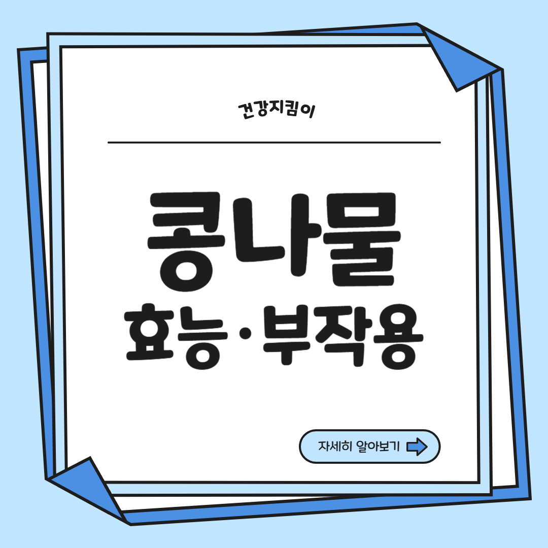 콩나물 효능 부작용 숙취 칼로리