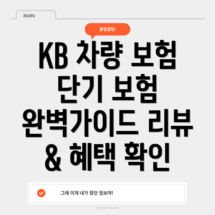 KB 법인 차량 보험