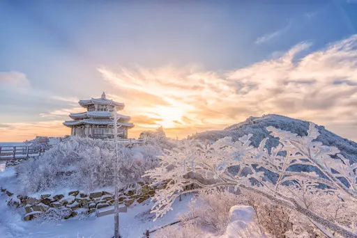 겨울에 꼭 가야 할 국내 여행지 BEST 5 