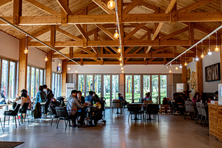 대관령 하늘목장