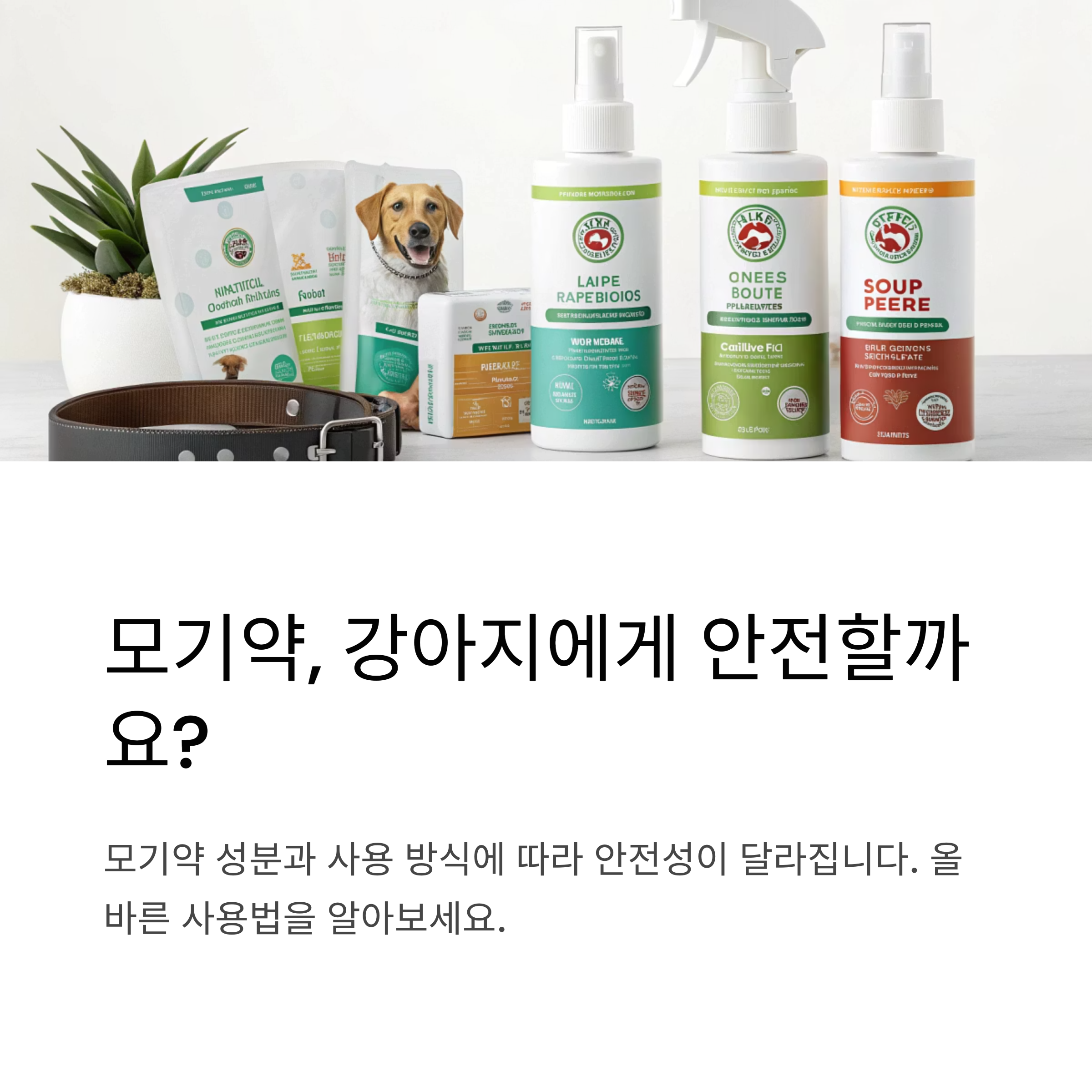 모기약, 강아지에게 안전할까요?