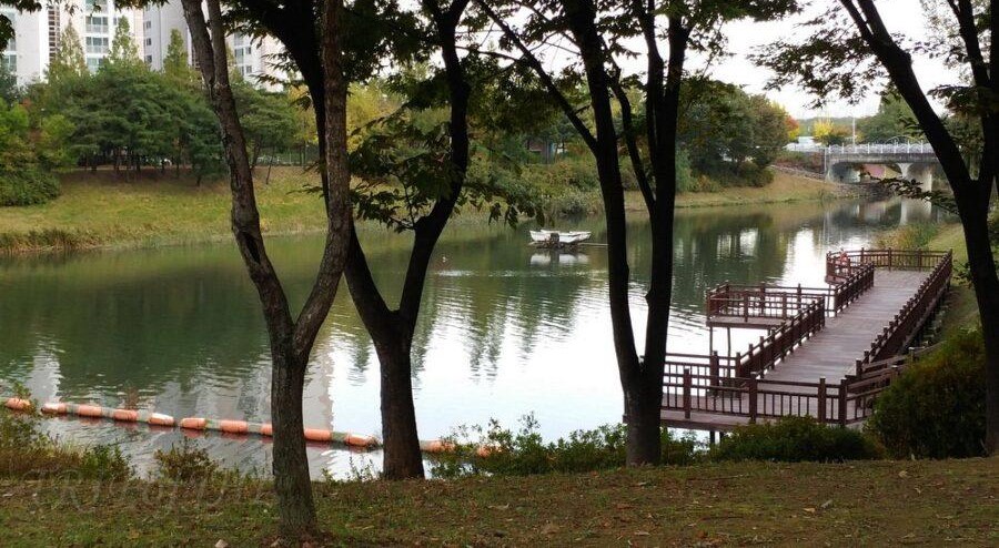 구리 장자호수공원 완벽 가이드: 아름다운 도심 속 생태 오아시스