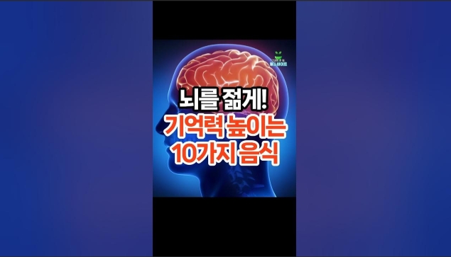 기억력 높이는 음식 7가지 ❘ 두뇌활동·집중력 향상 비밀