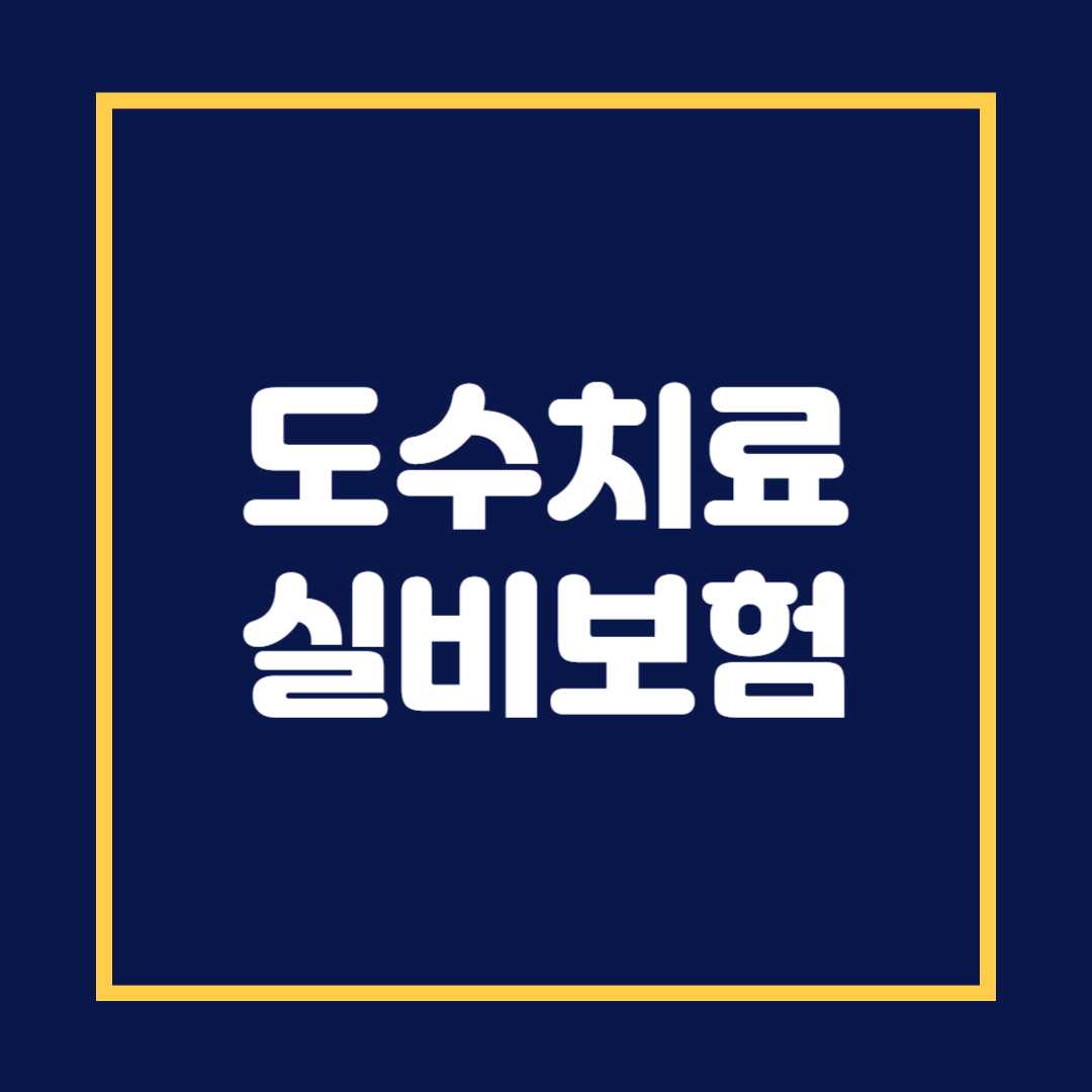 도수치료 실비