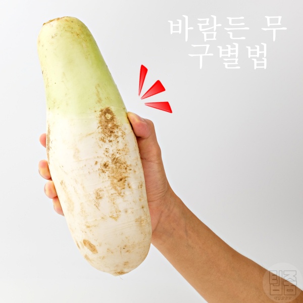 바람든 무 구별법, 맛있는 무 고르는 법, 깍두기 김장 김치, 생활 팁줌 매일꿀정보