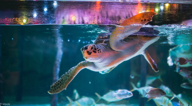 방콕 씨라이프 오션월드