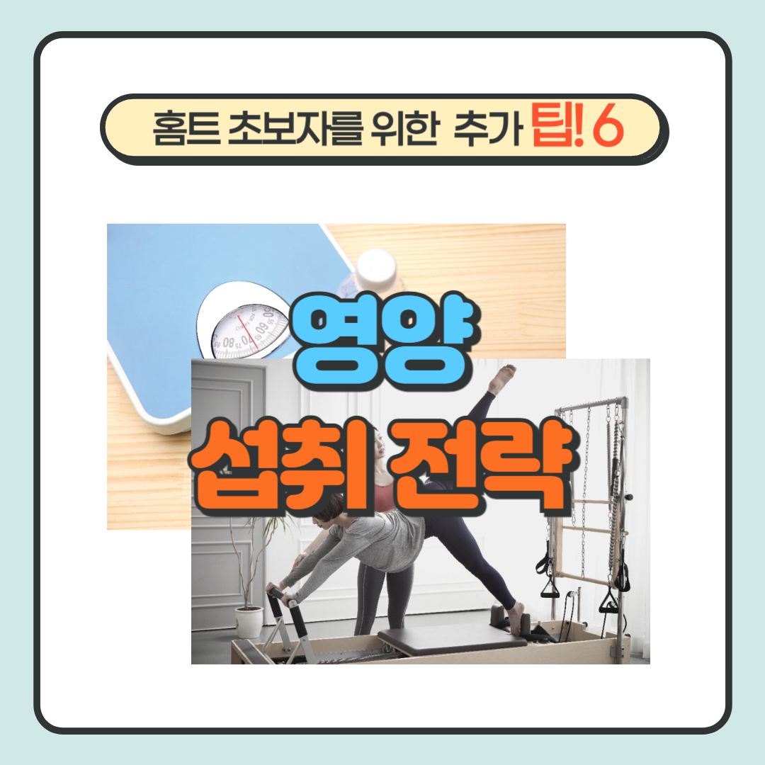 영양 섭취 전략