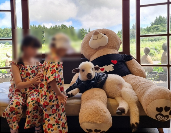 애기 양과 사진 촬영