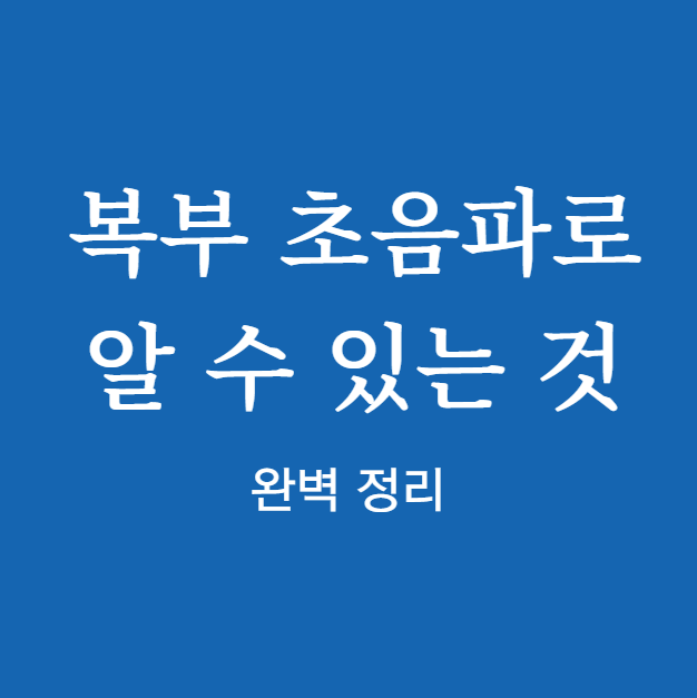복부 초음파로 알 수 있는 것
