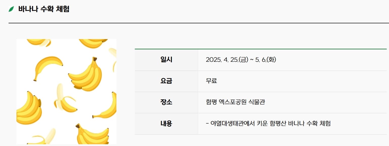 [4월 축제]2025 함평나비대축제｜일정, 기간, 입장권 예매 할인, 입장권 예약 이벤트, 공연, 체험프로그램 총정리