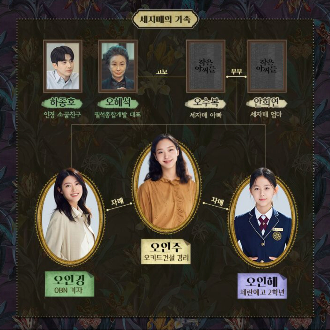 tvN 작은 아씨들 드라마 출연진, 원작, 제작사 정리