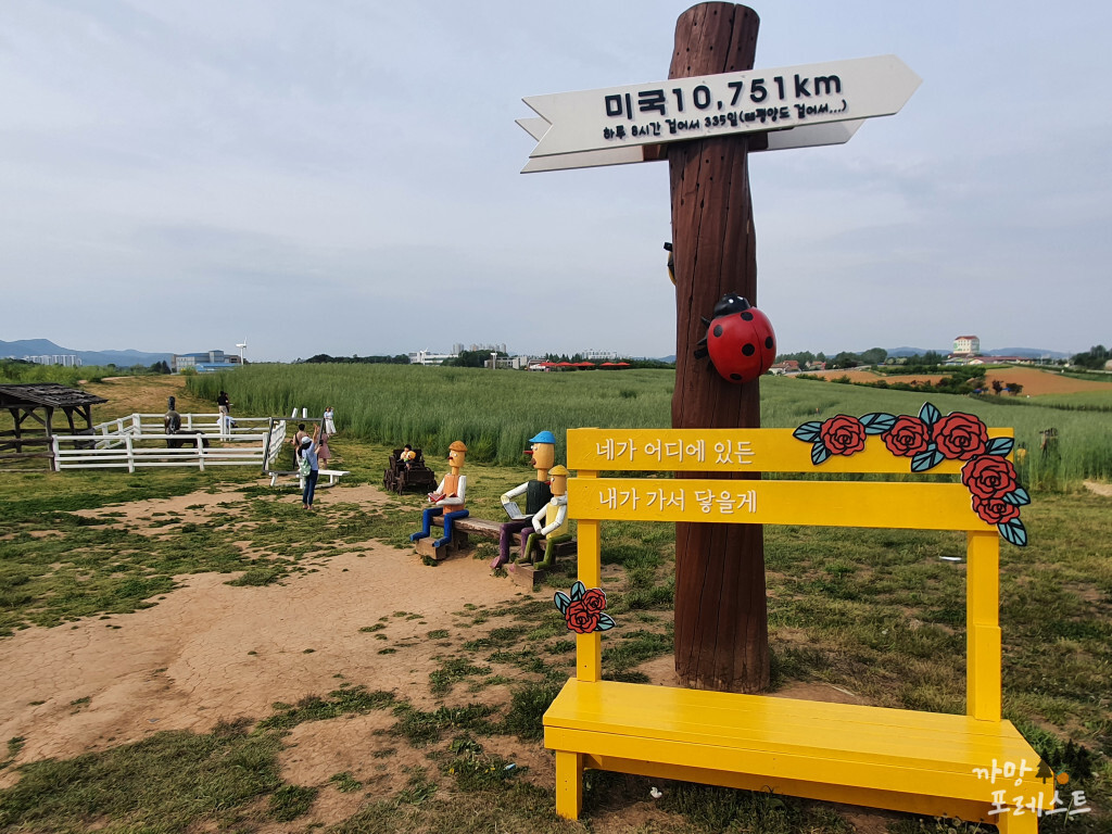 안성 팜랜드 소품