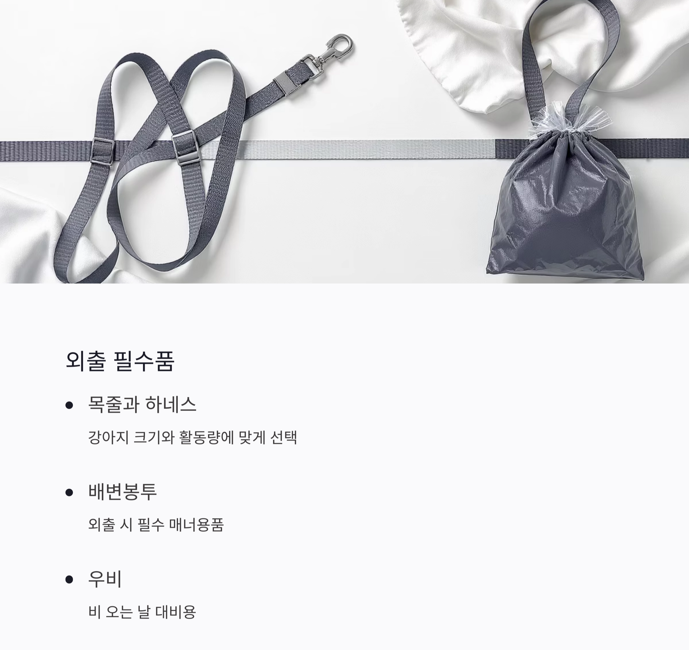 강아지 처음 키울 때 꼭 필요한 준비물 리스트
