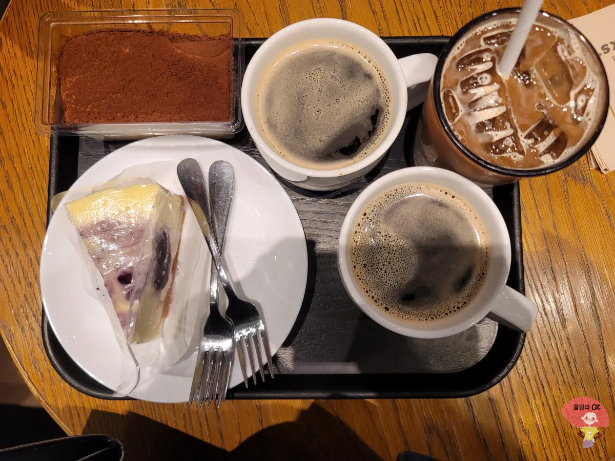 스타벅스-블루베리-마블-치즈-케이크와-레이디-핑거-티라미수와-핫아메리카노와-돌체라떼