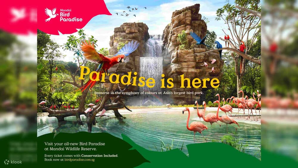 싱가포르 버드 파라다이스 입장권 티켓 예매 할인