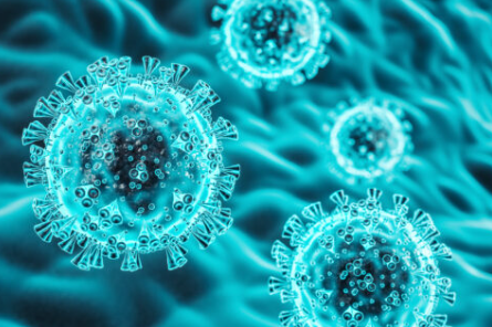 코로나, 확산, 변이, 델타, 오미크론, 확진자 수, 백신, 4만, 세계 코로나 확진, BA5, 켄타로우스, 거리두기, 여름휴가