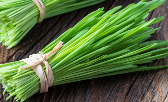 끈으로-묶여있는-보리