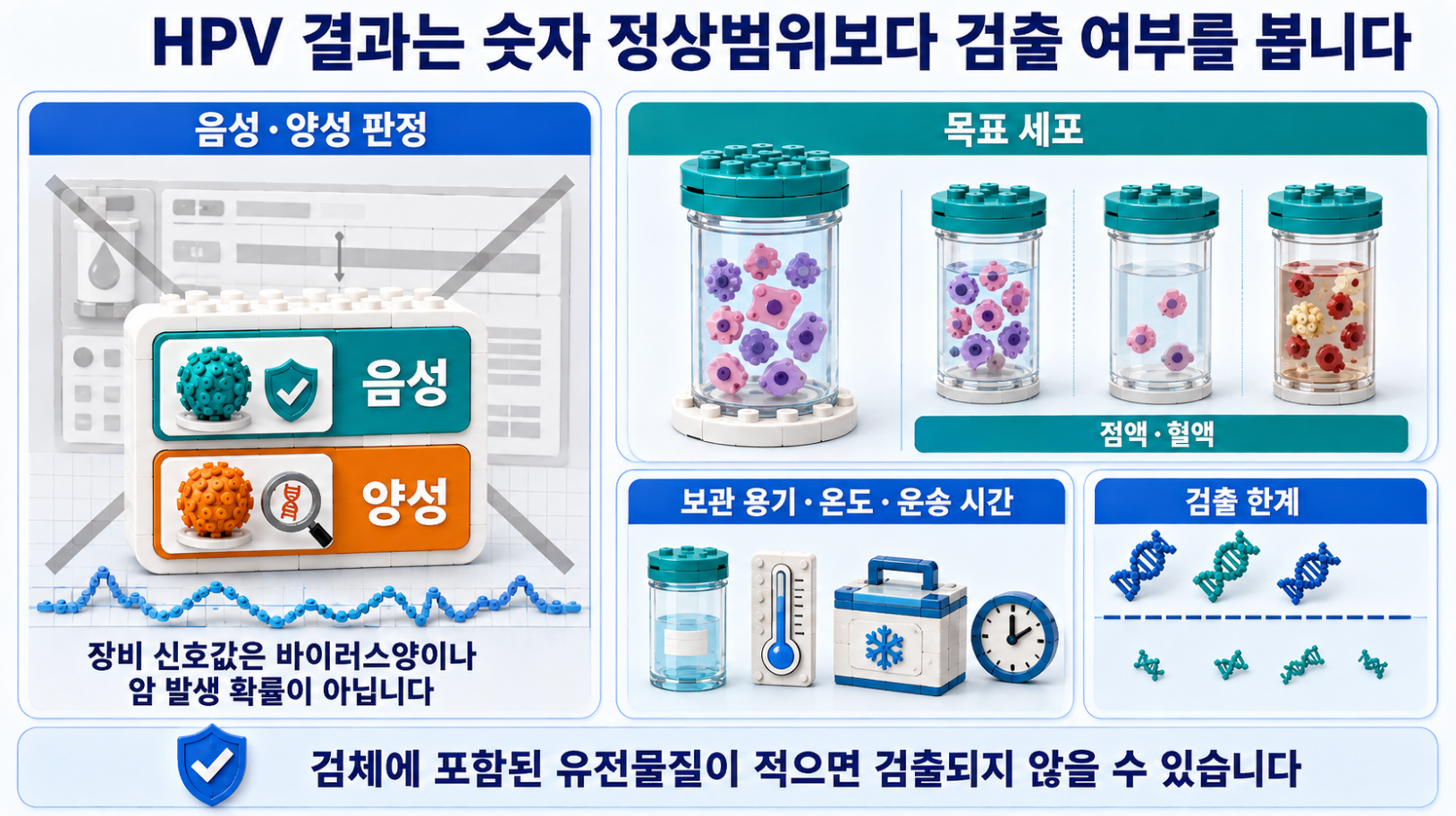 HPV 결과가 숫자 정상범위가 아닌 검출 여부로 판정되는 이유와 검체 채취&middot;보관 조건을 설명하는 인포그래픽