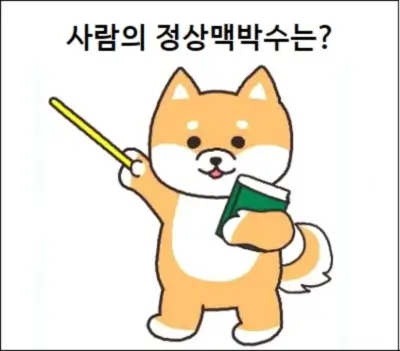 사람의 정상맥박수는