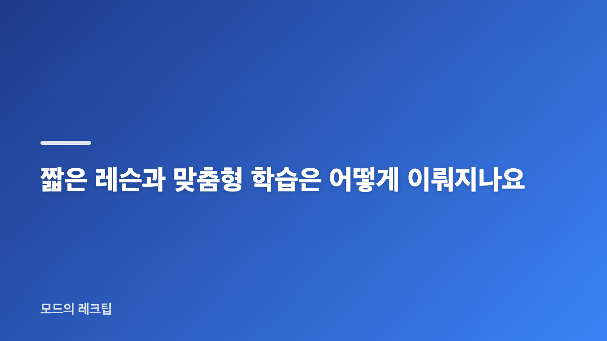 듀오링고 무료 유료 차이와 학습 범위