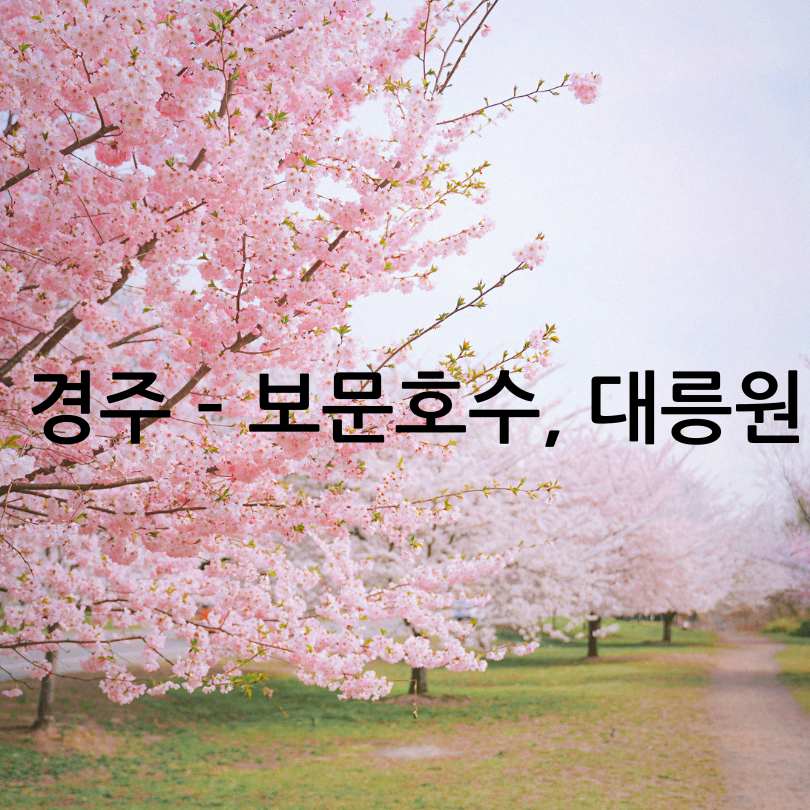 2025년 벚꽃 개화 시기 및 전국 명소