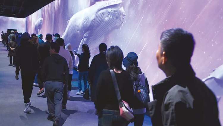 여수 예술랜드 리조트