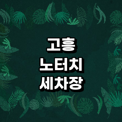 고흥군 노터치 세차