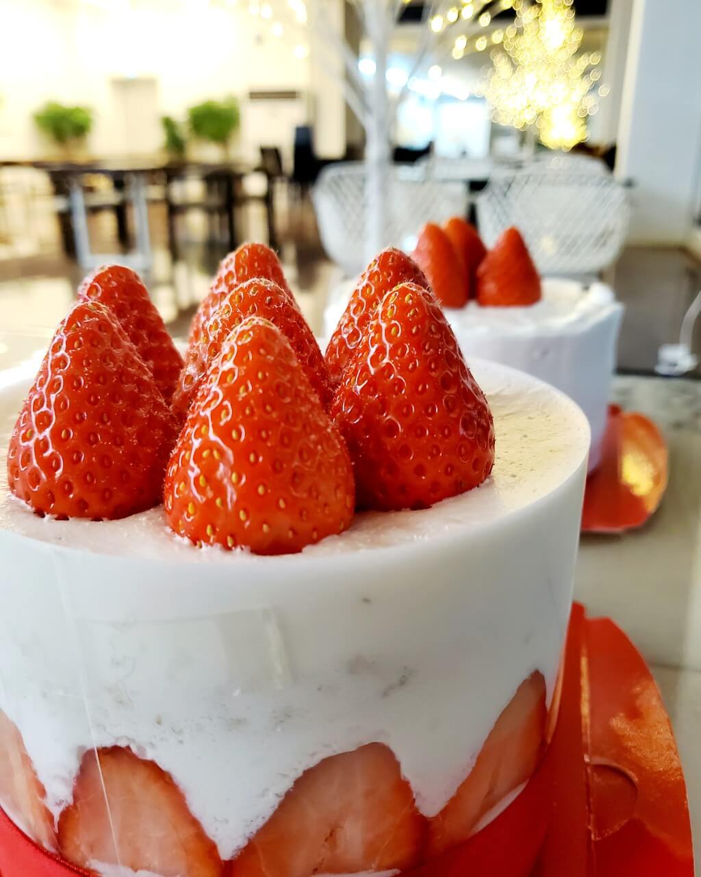 생방송투데이 딸기케이크 딸기디저트 용인 카페