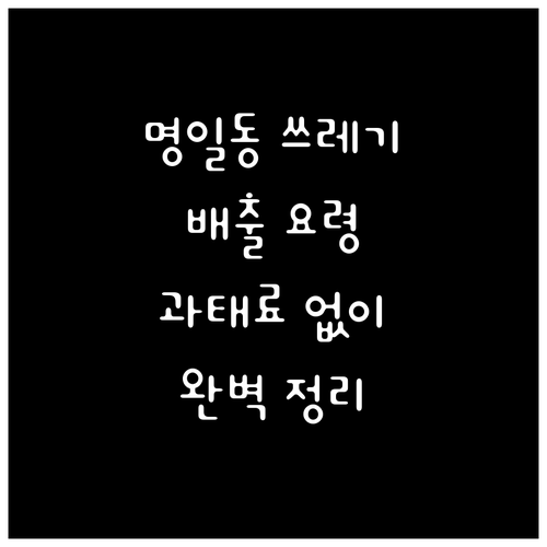 명일동 쓰레기 배출 요령 과태료 없이..