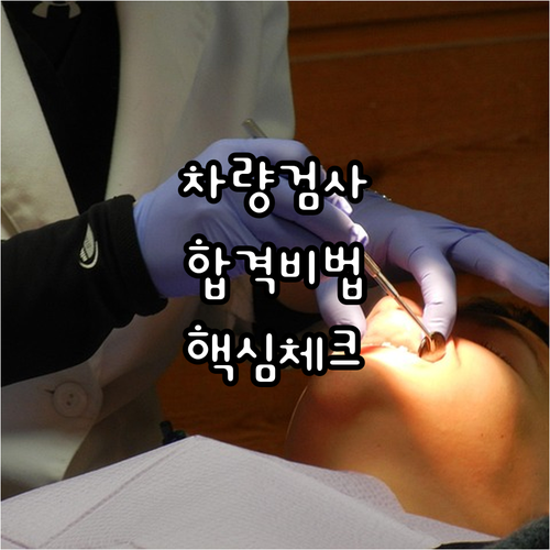 자동차 검사, 한번에 통과하는 비법:..