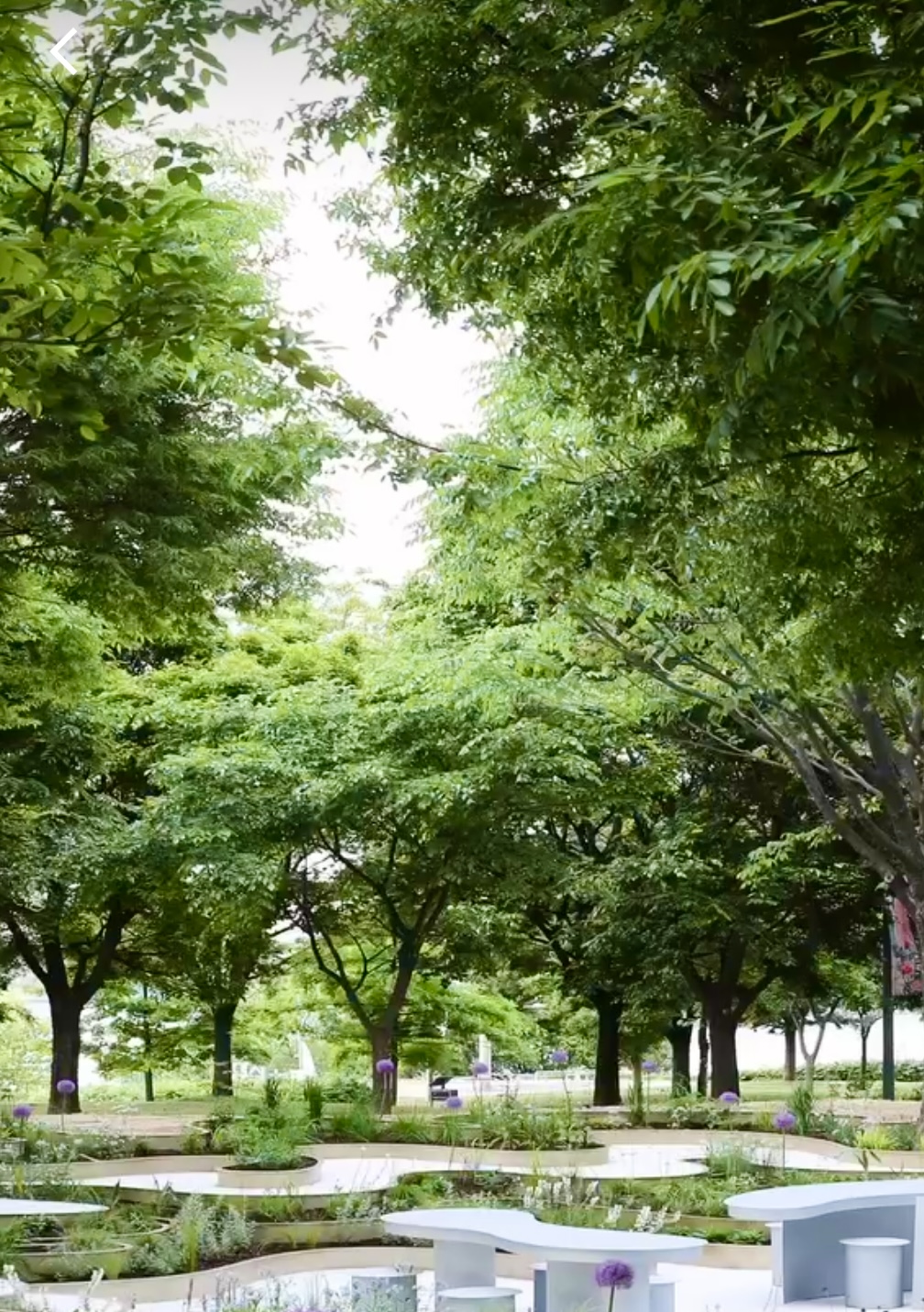 2025 서울국제정원박람회 관련사진