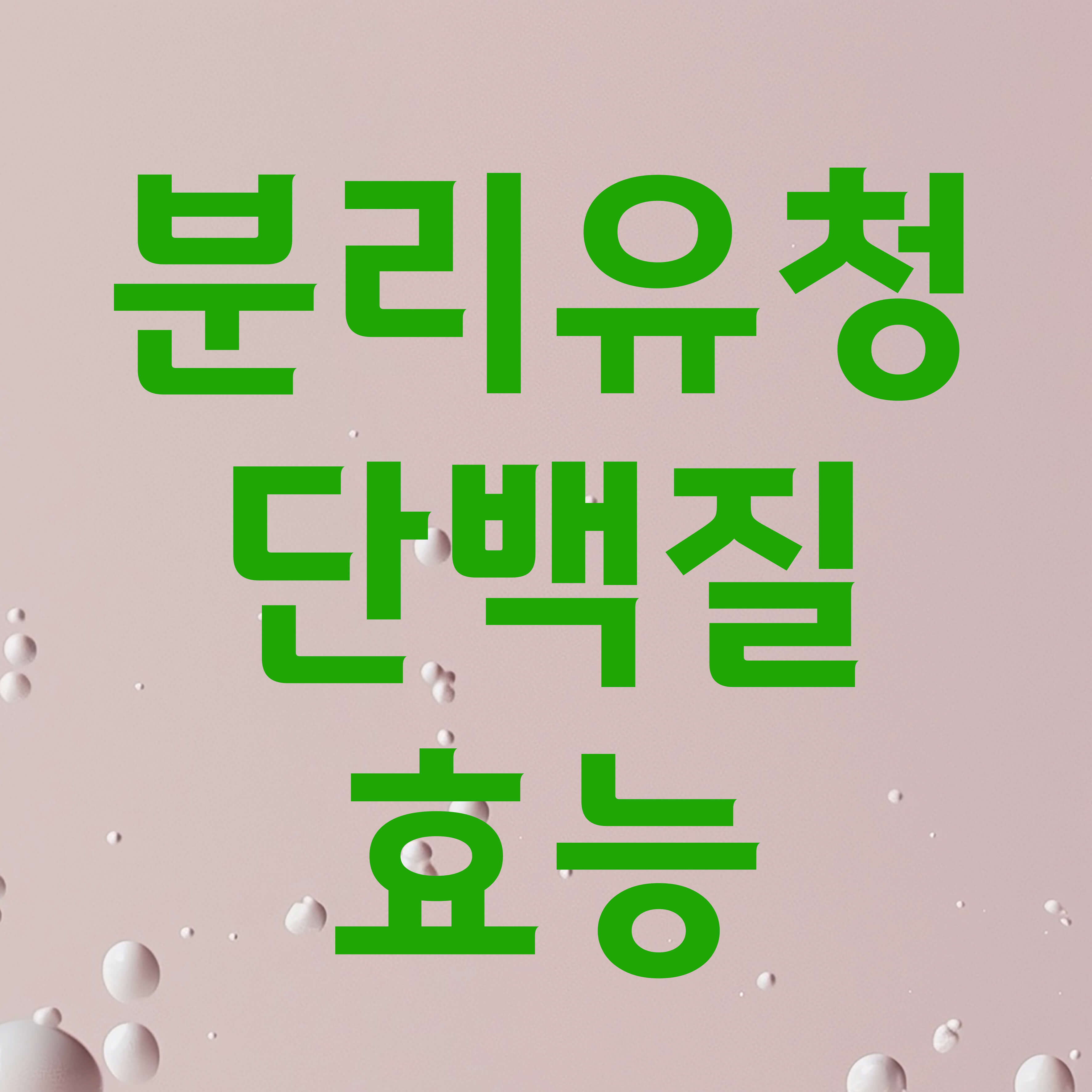 분리유청 단백질 부작용