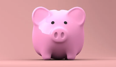 대전-민생회복지원금