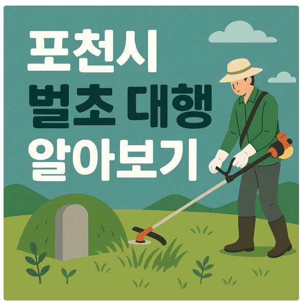 경기도 포천시 벌초 대행 업체,서비스 알아보기