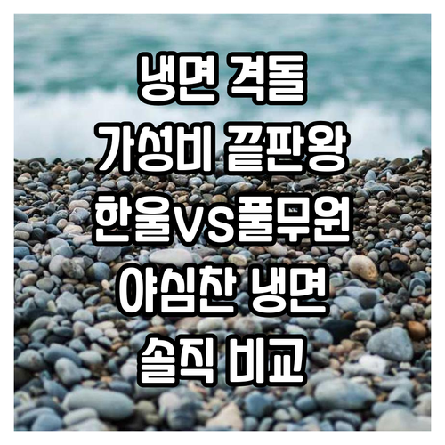 가성비 냉면 대전! 한울 vs 풀무원..