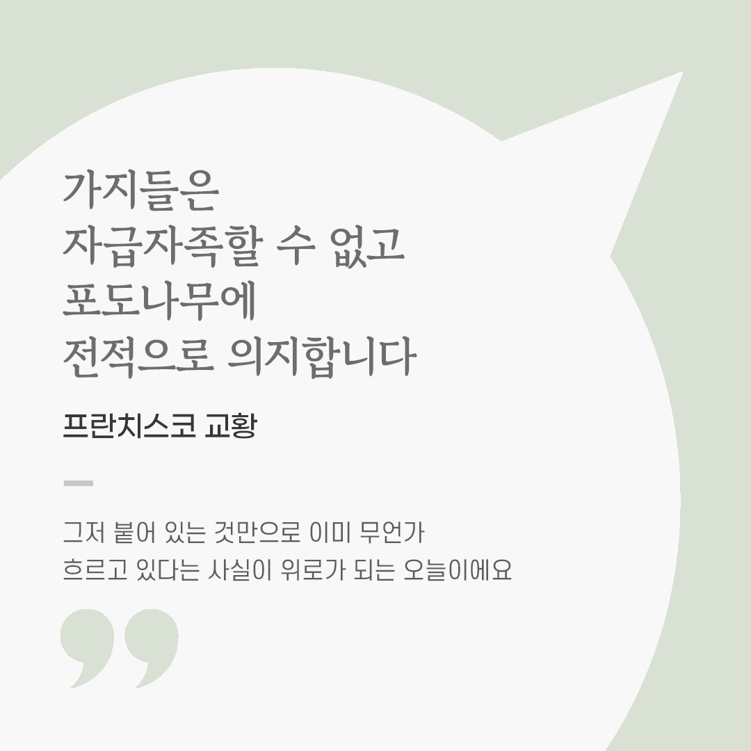 가톨릭 명언 영성글귀 이미지