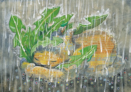 권정생-작가의-강아지똥